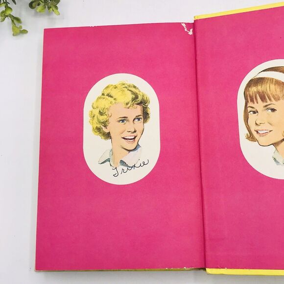 TRIXIE BELDEN #15: THE MYSTERY ON THE MISSISSIPPI by Kathryn Kenny Circa 1965 - Picture 7 of 9